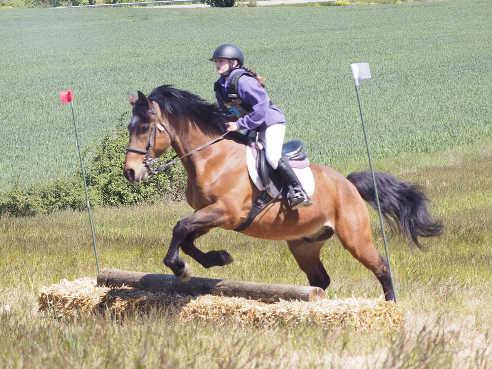 Zolina acogi&oacute; el Campeonato Navarro de TREC